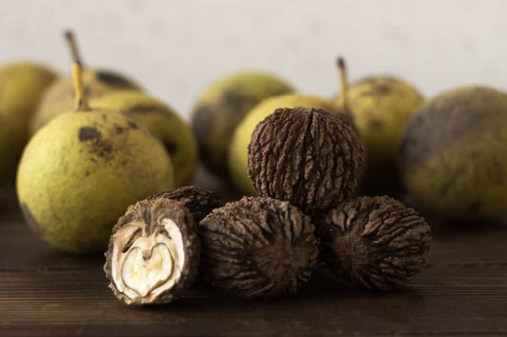 Black walnut hull, often used as an anti-parasitic by herbalists